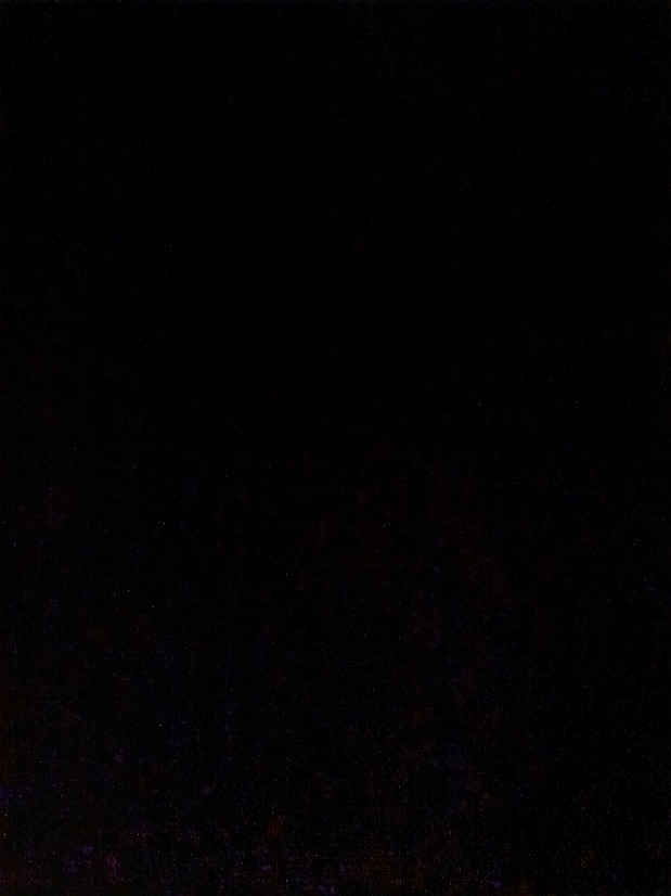 Фарангиз 